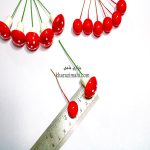 تزیینی قارچ و زالزالک - Image 2