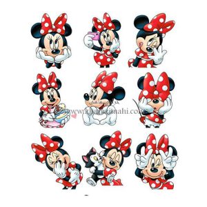 برچسب حرارتی طرح میکی موس عکاس و گربه (کد104)