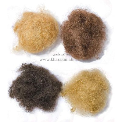 موی عروسک رحمان رحیم ( فر اسکاچی)